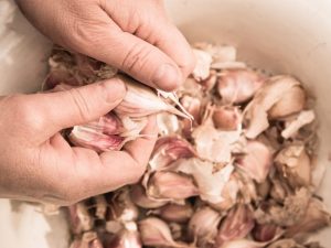 Garlic processing in spring