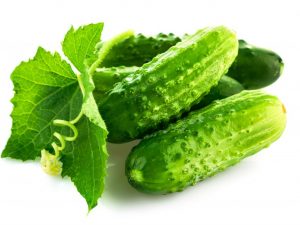 Beschrijving van Hollandse komkommers
