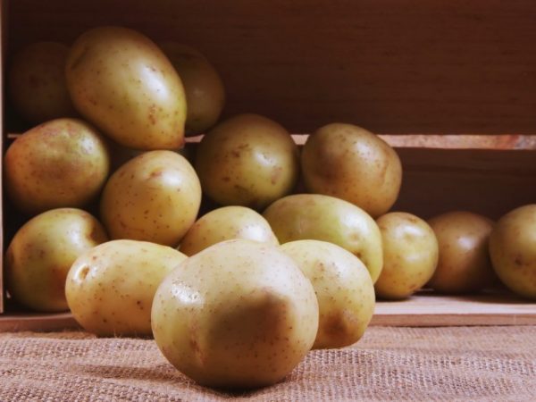 Οι πατάτες μπορούν να αποθηκευτούν μέχρι τα μέσα της άνοιξης