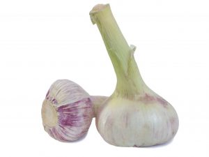Large garlic