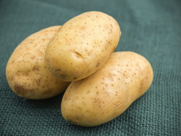 البطاطس بأي شكل من الأشكال مفيدة