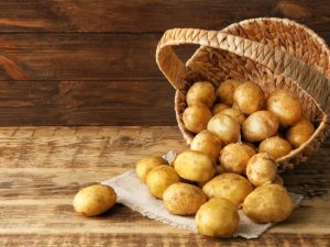 Characteristics of Latona potatoes