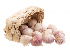 Česneková odrůda Lyubasha