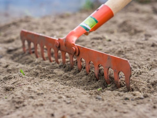 Fertilizarea solului