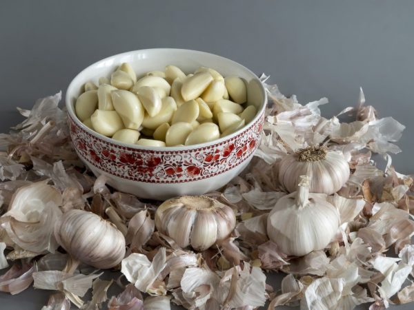 Garlic husk