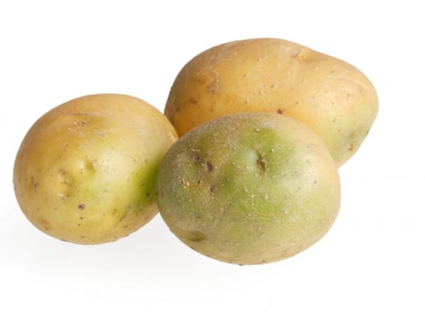 Groene aardappelen