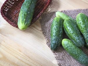 Description of Alliance cucumbers