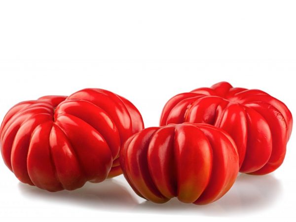 Kännetecken för den amerikanska ribbade tomatvarianten