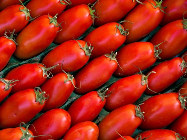 Características y características del tomate Auria.