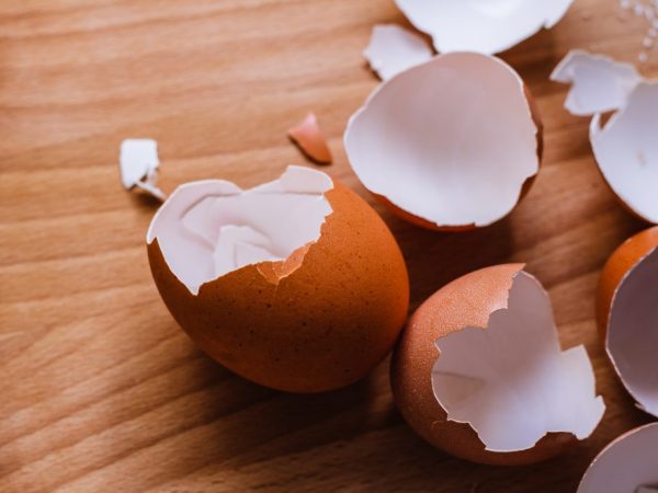 Van eierschalen kan een uitstekende meststof worden gemaakt