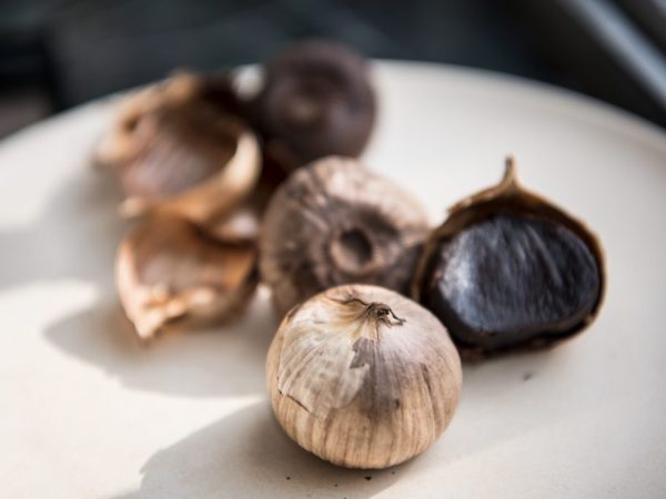 You need to know how to store garlic