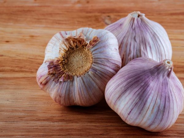 Choosing the right garlic