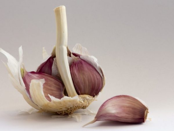 Garlic is best avoided for a sore stomach.