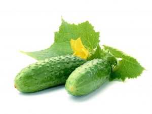 Beschrijving van de komkommersoort Hector