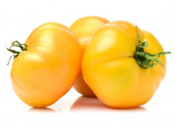 Beskrivning av tomat Giant Lemon