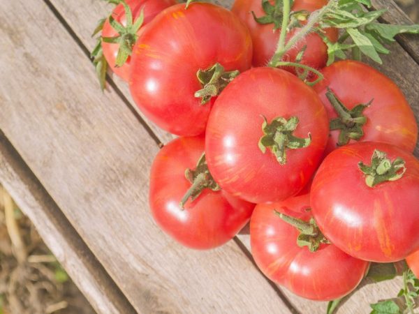 Kännetecken för tomatvarianten Mikado Pink