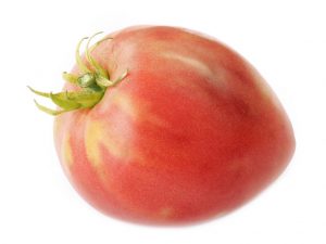 Beschrijving van tomaat Nastenka