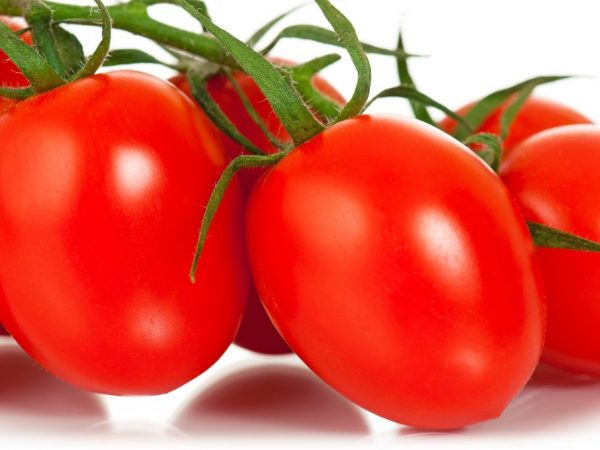 Kenmerken van Nepas-tomaten