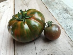 Beskrivning av tomat randig choklad