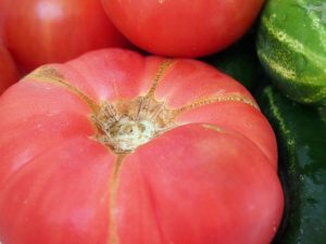 Descripción y características de los tomates de la variedad Pink Elephant.