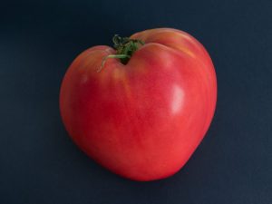 Beschrijving van Tomato Pink Spam