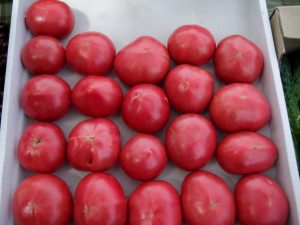 Descrierea și caracteristicile soiurilor de roșii Pink Souvenir
