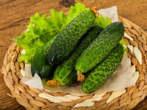 Characteristics of the variety of cucumbers Satina