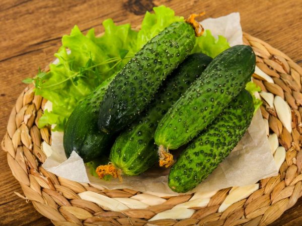 Kenmerken van de variëteit aan komkommers Satina