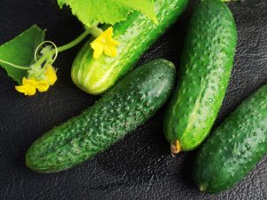 Kenmerken van Cedric-komkommers
