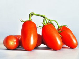 Beskrivning och egenskaper hos den sibiriska Troika-tomatsorten