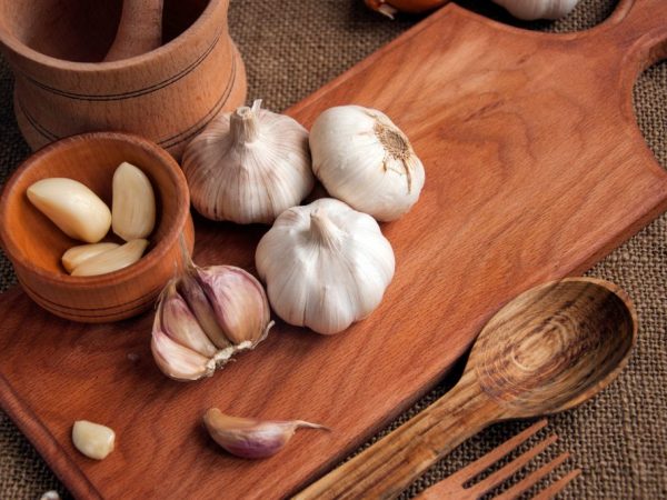 Garlic heads of different sizes