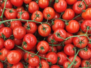 Kenmerken van de tomatenvariëteit Cherry Red