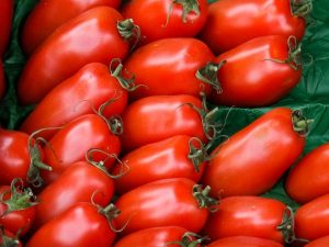 Características de las mazorcas de tomate bovino