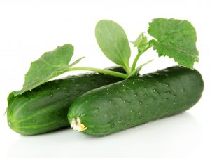 Description of Zozulya cucumber