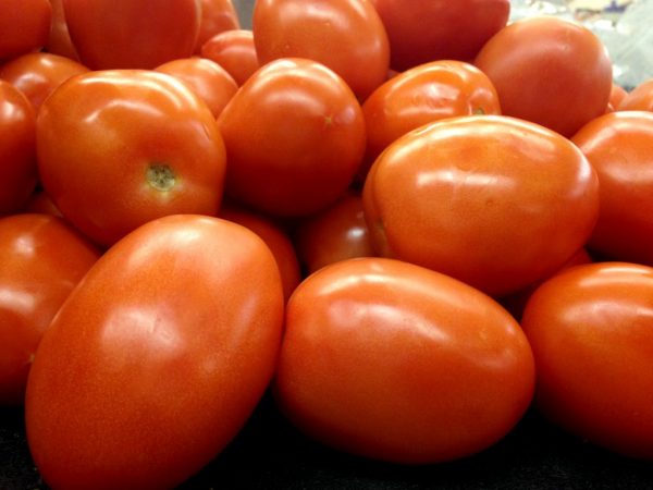 Beschrijving van Adeline-tomaat