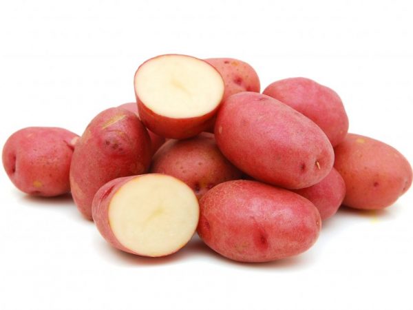 Descripción de las patatas Alena