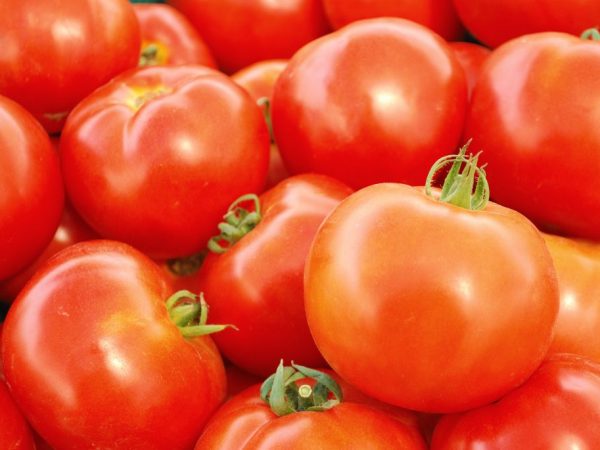 Egenskaper för tomater av sorten Babushkin Present