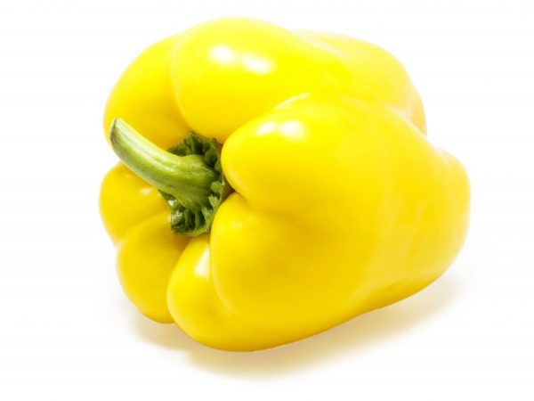 Charakteristika odrůdy papriky Blondie F1