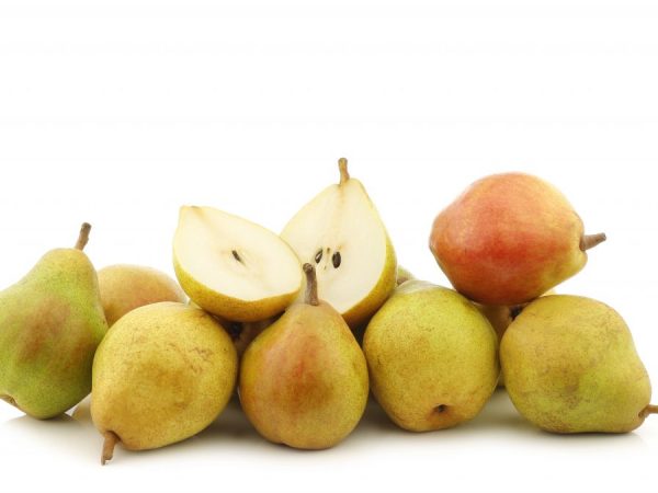 Los frutos tienen forma de manzana, su peso medio es de unos 150 g.