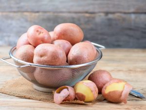 Popis odrůdy brambor Desiree