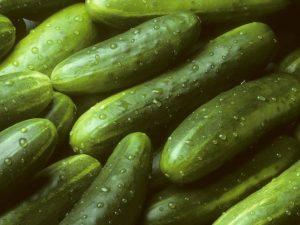 Kenmerken van Esaul-komkommers