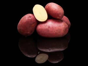وصف تطور صنف البطاطس
