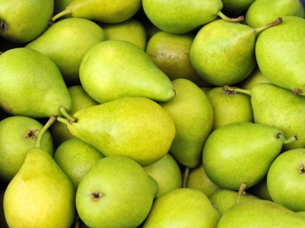 Vruchten zijn middelgroot, wegen ongeveer 140-160 gram, glad en regelmatig van vorm