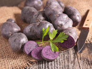 Popis fialových odrůd brambor