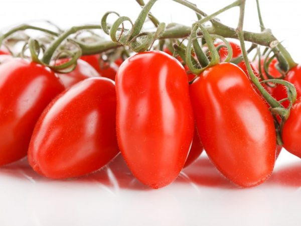Description de la tomate française Grozdeva