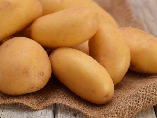 Kenmerken van Gulliver-aardappelen