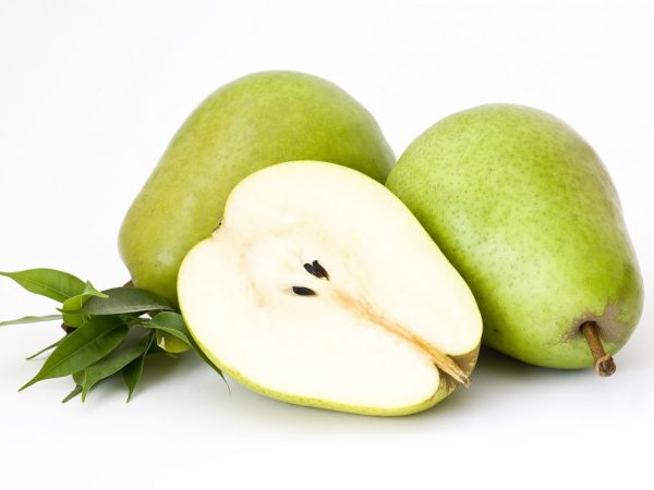 Medelvikten för en frukt varierar från 100 till 140 gram.