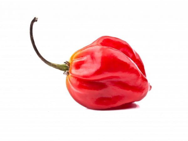 Healthy and tasty peppers