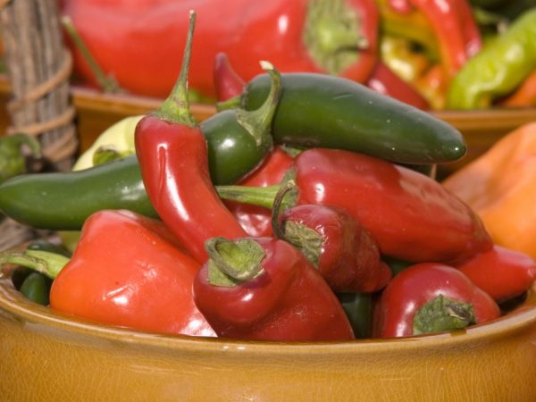 Jalapeno salátové papriky