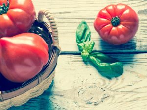 Popis odrůdy rajčat Hali Gali